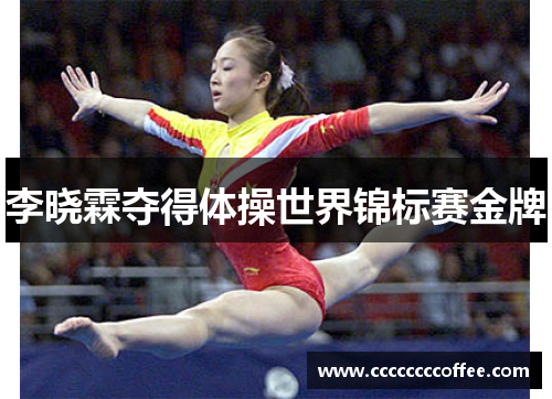 李晓霖夺得体操世界锦标赛金牌